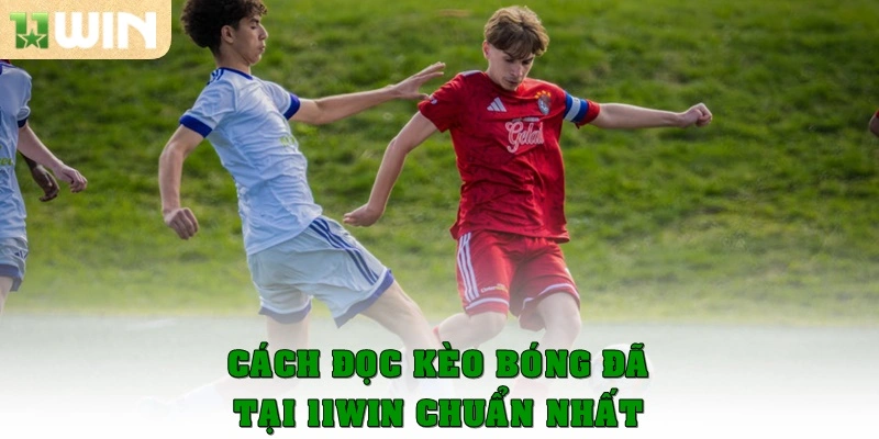 Kèo bóng đá tại 11win – Cập nhật tỷ lệ kèo chuẩn xác 3 Cách đọc kèo bóng đá tại 11win chuẩn nhất