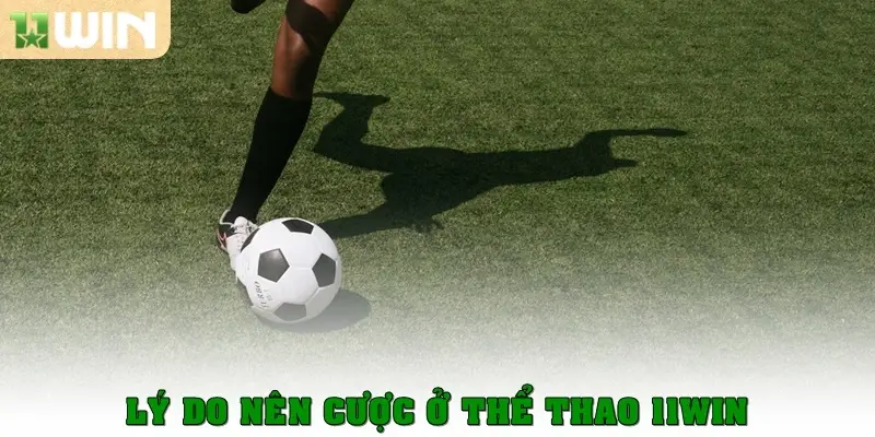 Lý do nên cược ở Thể thao 11win