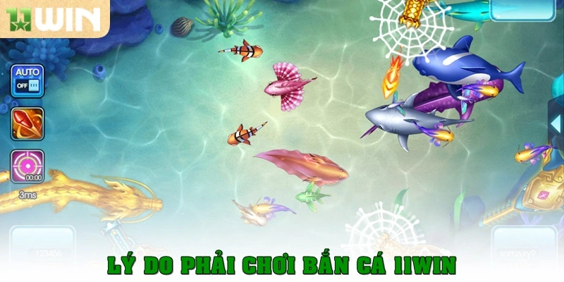 Lý do phải chơi bắn cá 11win thử một lần